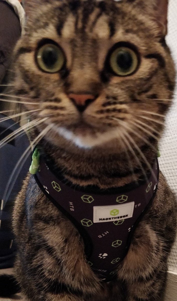 #Kali got new stuff xD <a href="/hackthebox_eu/">Hack The Box</a>