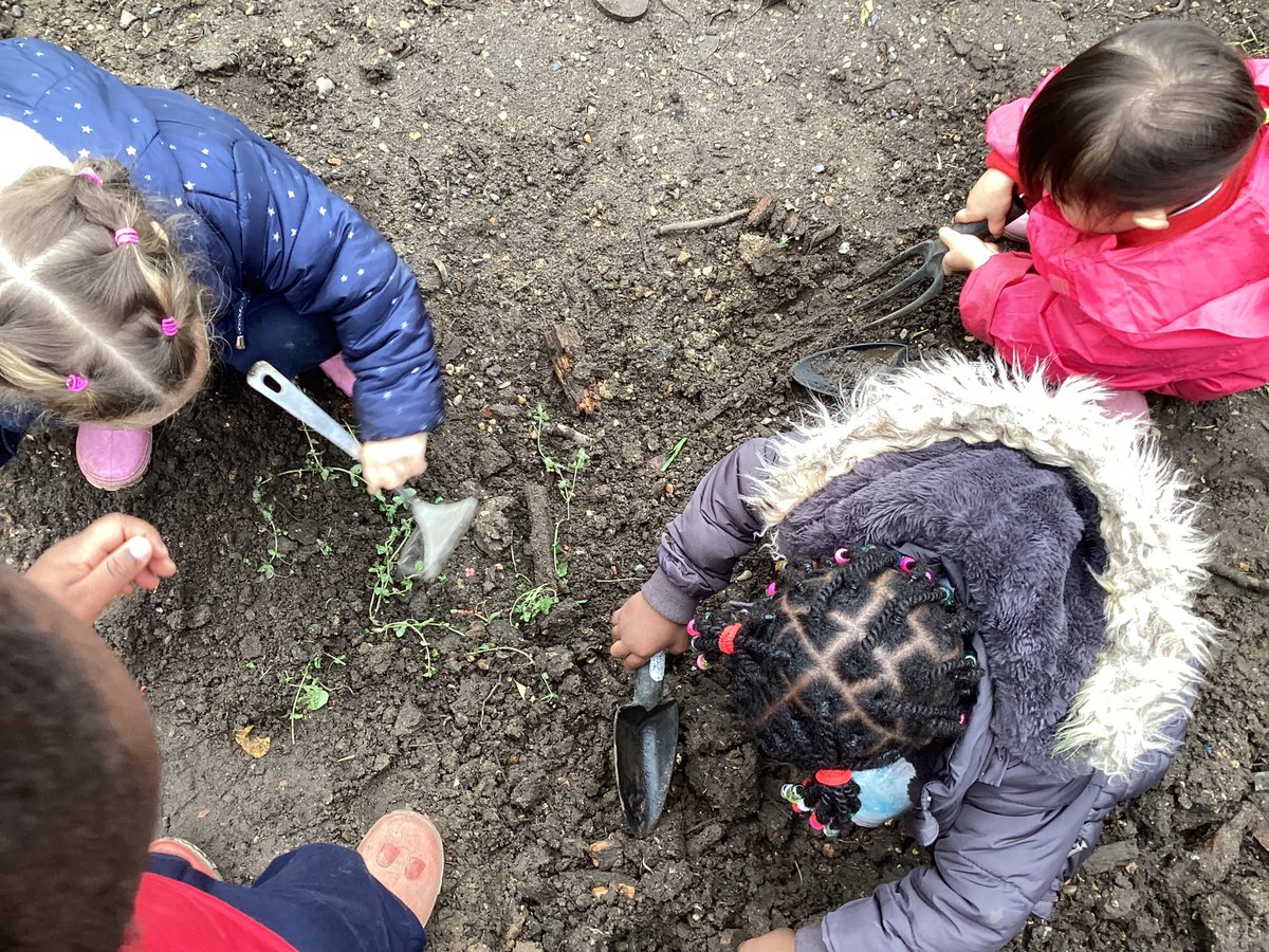 LarkHallPrimary's tweet photo. EYFS are thrilled to be part of @LeapLambeth #naturalthinkers programme and are making the most of Autumn! #lheyfs #lhmillennium #lhsouthwark #lhnursery #outdoorlearning https://t.co/jmPe1iDfLr