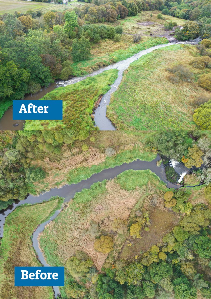 ForthRiversT's tweet photo. Another one bites the dust - Westfield Weir Removed! The Trust through its consultancy arm has been working with a housing developer on the Logie Water, a trib of the River Avon in West Lothian to remove a 2.4 metre high weir. read more here- https://t.co/5KkZIruIog https://t.co/Gz29mXouTJ