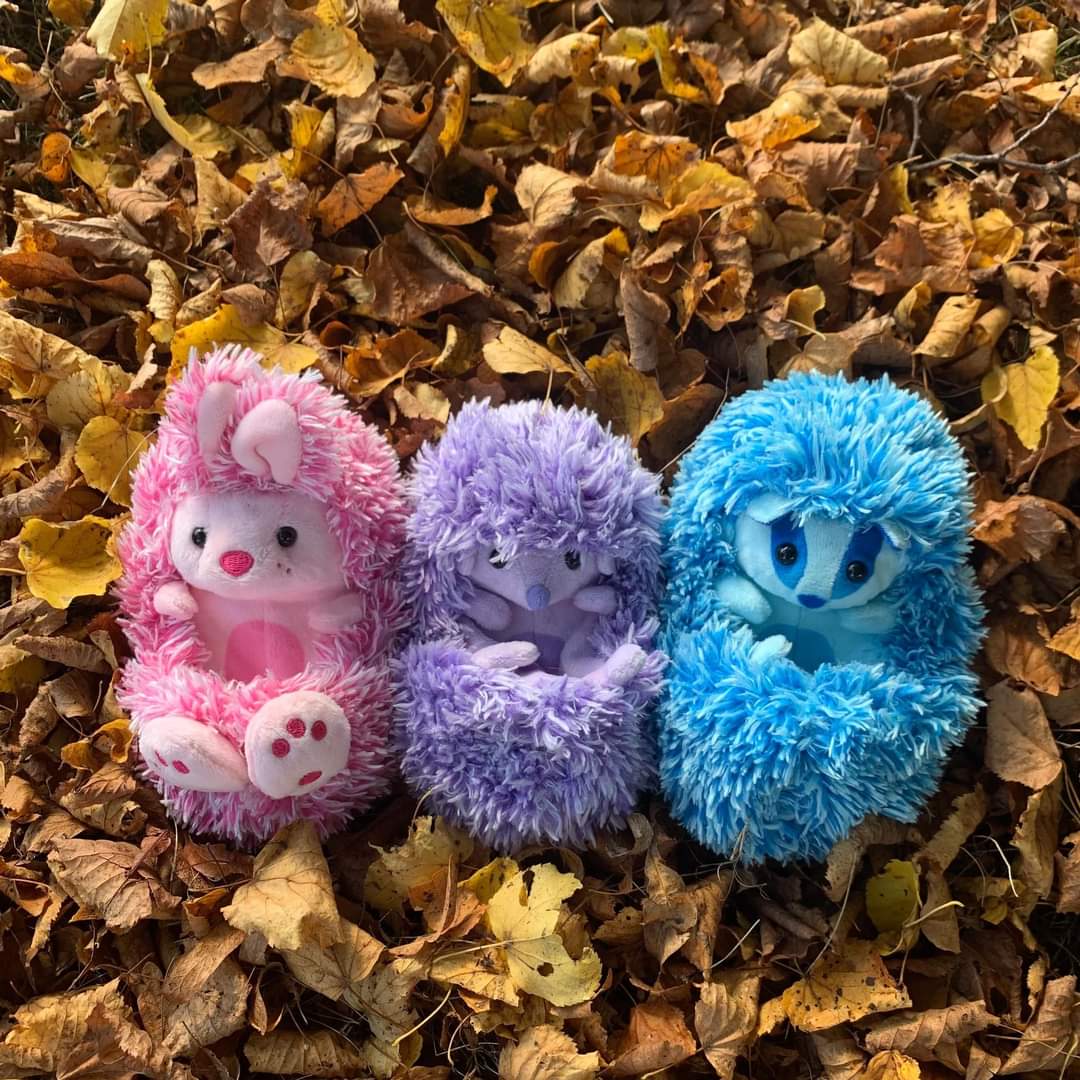 telfordlive's tweet photo. Global Success for #Telford Toymaker
#curlimals
#Hedgehog #GoldenBear
https://t.co/5GU5qF8VcY https://t.co/TEuIWHdMi6