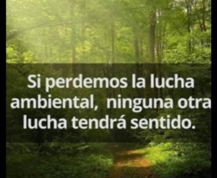#lluvia. En este jueves de lluvia y muy especialmente en mi Yaracuy natal, recordamos lo justo y necesario q es respetar la pachamama, vivir en armonia con ella implica amor y deseos libertarios. <a href="/Pontifex_es/">Papa León XIV</a> <a href="/evoespueblo/">Evo Morales Ayma</a> <a href="/concienciaeco/">Conciencia Eco</a> <a href="/greenpeace_esp/">Greenpeace España</a> <a href="/CMNUCC/">ONU Cambio Climático</a> <a href="/JosePinto_MRT/">José Pinto</a>