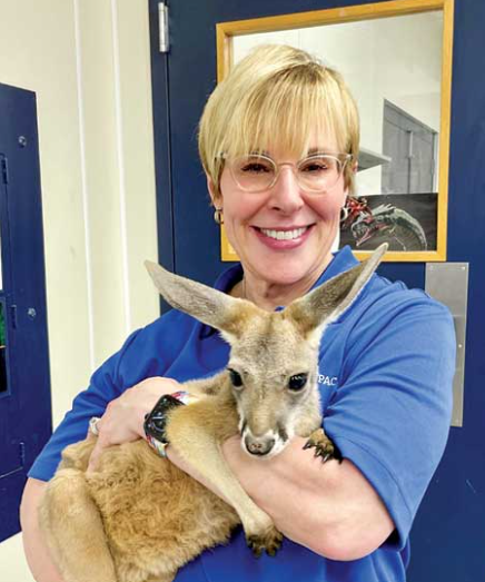Tweet by AVMA (American Veterinary Medical Association)