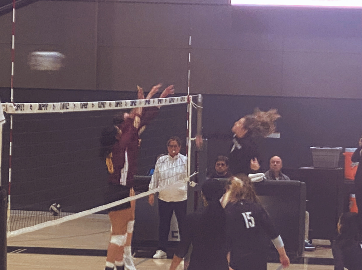 couriercod's tweet photo. College of DuPage’s women’s volleyball team remains largely successful this season as players like Chloey Myers make it their mission to dominate the court. https://t.co/kxoWSacK5q
#collegenews #studentnews #studentlife #codsports #codathletes #codvolleyball #championship #njcaa https://t.co/7w7x1ZwmlT