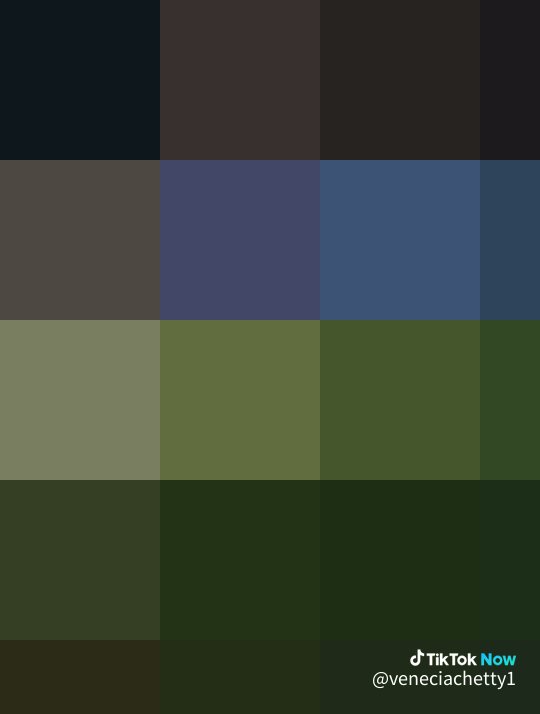 Join me on #TikTokNow now.tiktok.com/@veneciachetty…