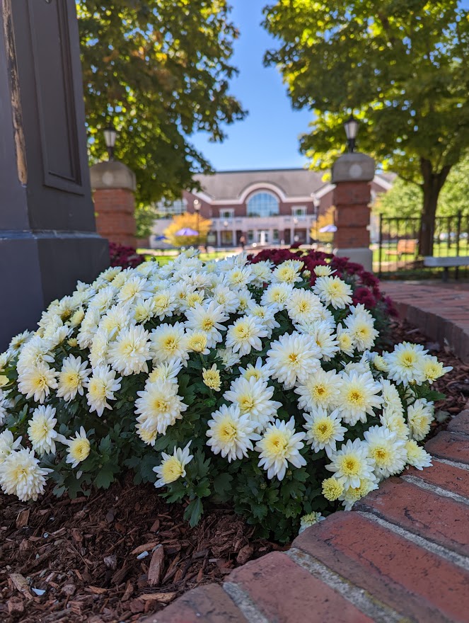 macphaidin_lib's tweet photo. Have work to do over the long weekend? #MacphaidinLibrary is open until 4:30 PM today.
#StonehillLibrary #LibraryLife #FallBreak #StonehillCollege https://t.co/05NVBczRWJ
