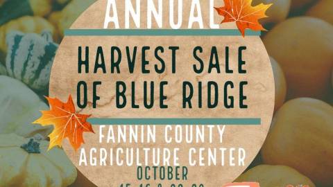 cuddleupcabins's tweet photo. Check out the Blue Ridge, GA Harvest Sale October 15th-October 16th and October 22nd-October 23rd. https://t.co/l68yPXJeVJ