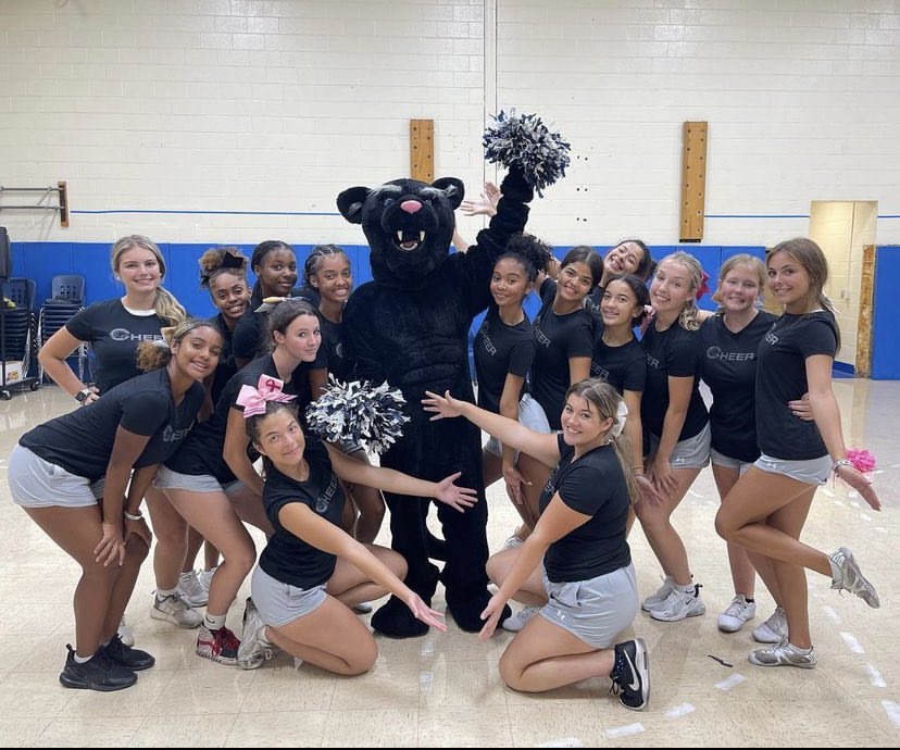 The Panther tweet media