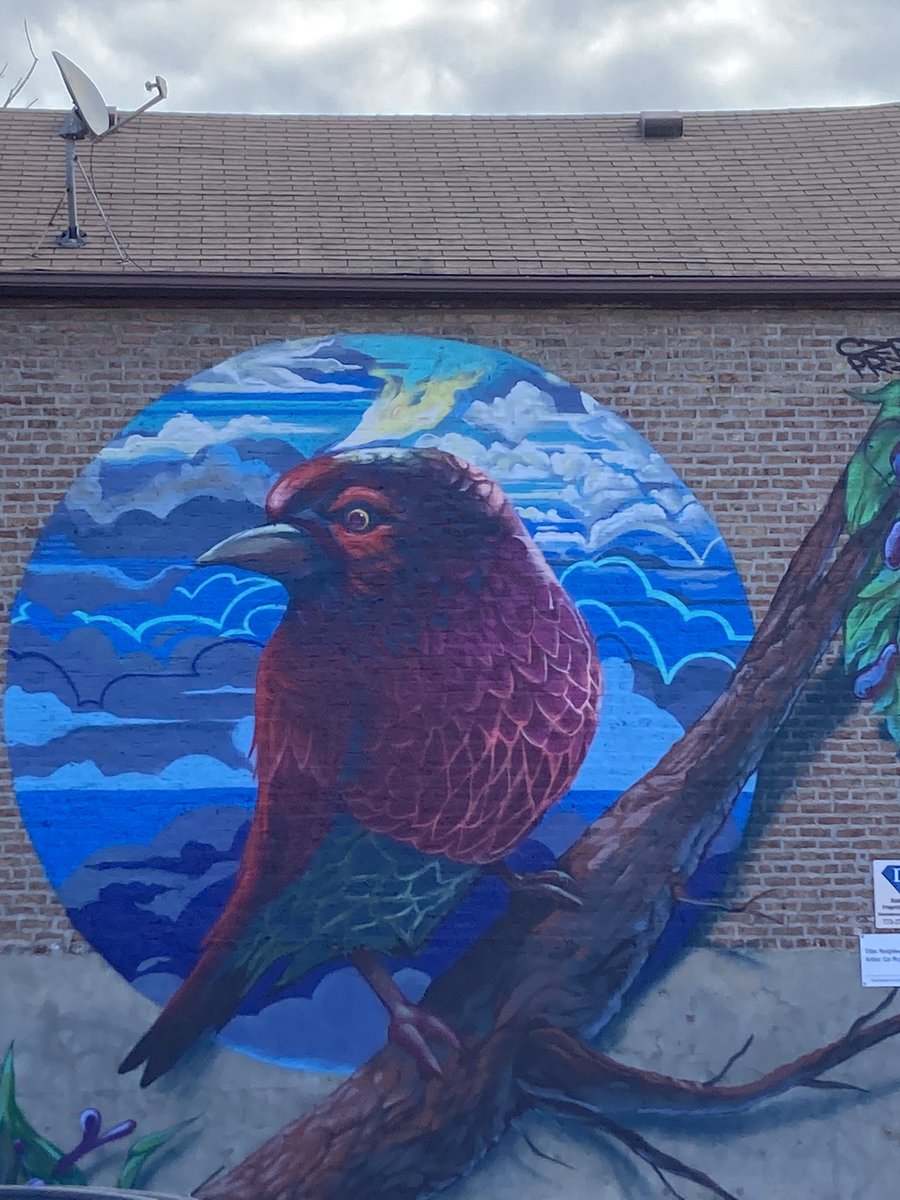 Schutter227's tweet photo. Mural walk in Pilsen neighborhood with the IB Diploma Program students. #richinstudentsuccess https://t.co/F7Rqu6Vixo
