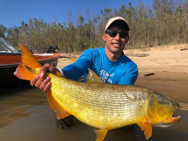 shopdepesca's tweet photo. Comienzo de temporada de pesca con artificiales en Rosario – Por Joky Pesca Rosario Joaquín Vidalle, les dejamos la nota para que lean... 🐠🎣🎣https://t.co/2jtNawF0sm 
#dorados #pescadedorados #jokypesca #pescaenrosario #joaquinvidalle Tel WhatsApp: +54 9 3413 39-0960 https://t.co/9VPglSkMFz