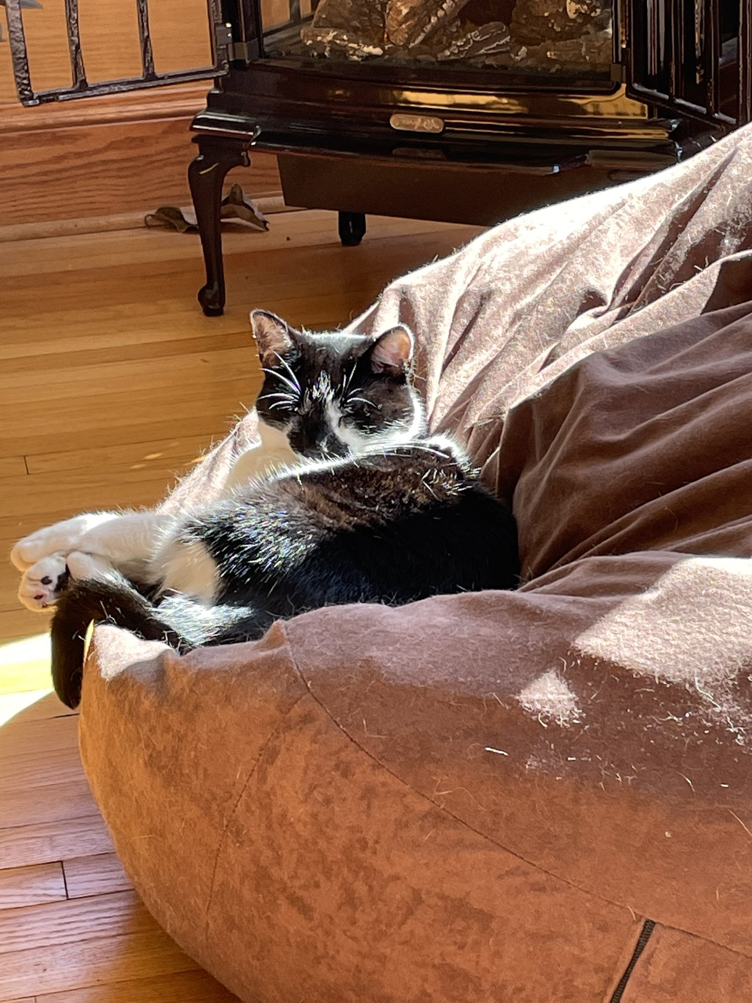 Allyson Dahlin📻👾 CAKE EATER On Sale Now (ally_dahlin) / Twitter