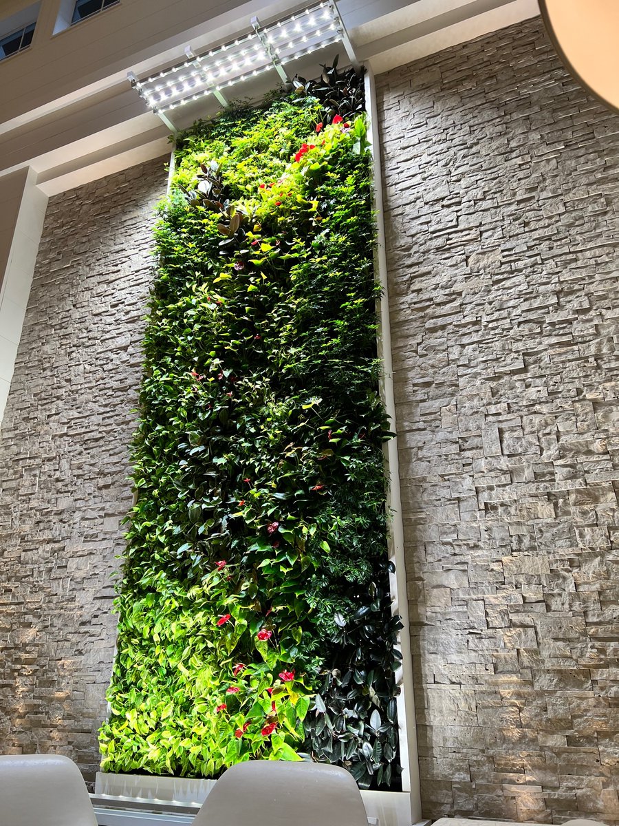 📍 Hutchinson Shores Resort- Jensen Beach, FL 🌱 Bringing the outside coastal environment inside. This GSky wall is an amazing addition to the hotel’s lobby. The bold colors bring attention to the beautiful, natural greenery from the region. #biophilia #greenwalls #architecture