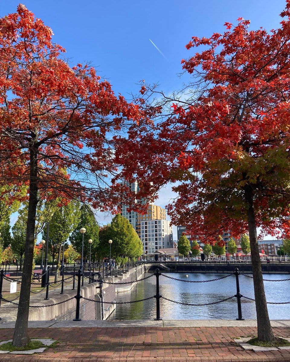 Amy_J_87's tweet photo. Ventured over the Pennines today to attend the Hach analytical skills workshop organised by @InstWater! Excellent workshop, autumn colours, free lunch and pipetting action 👩‍🔬! https://t.co/2XBk3qooXq