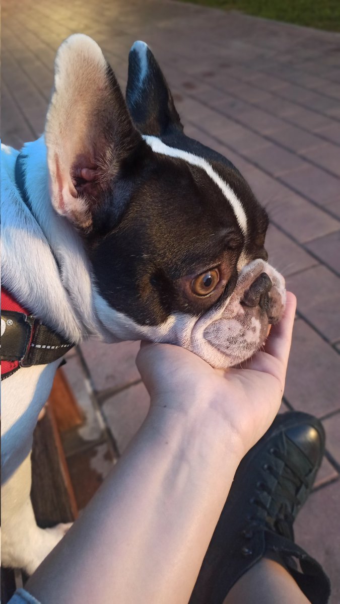 @srtagalicia.bsky.social tweet media