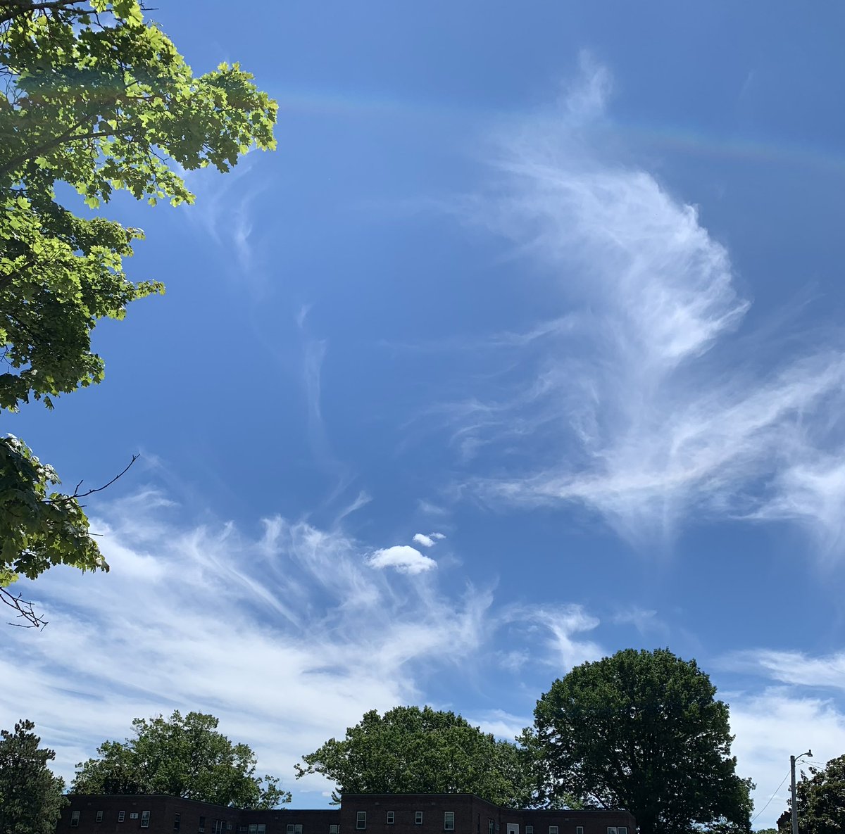 WonderGoddess51's tweet photo. It’s a beautiful day in the neighborhood.☀️🌤️ #Walk #FreshAir ##SunshineAndClouds https://t.co/a9peNbspxH