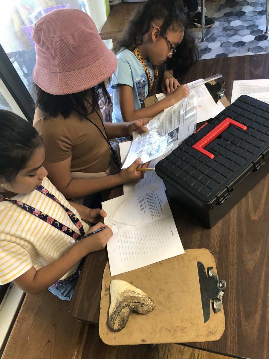 gpisdSTEM tweet media