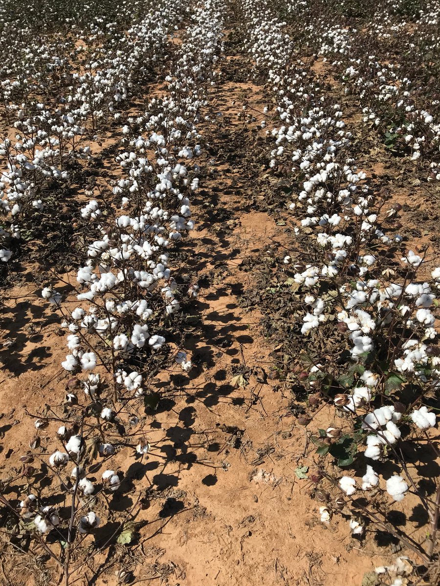 Seth Byrd tweet media