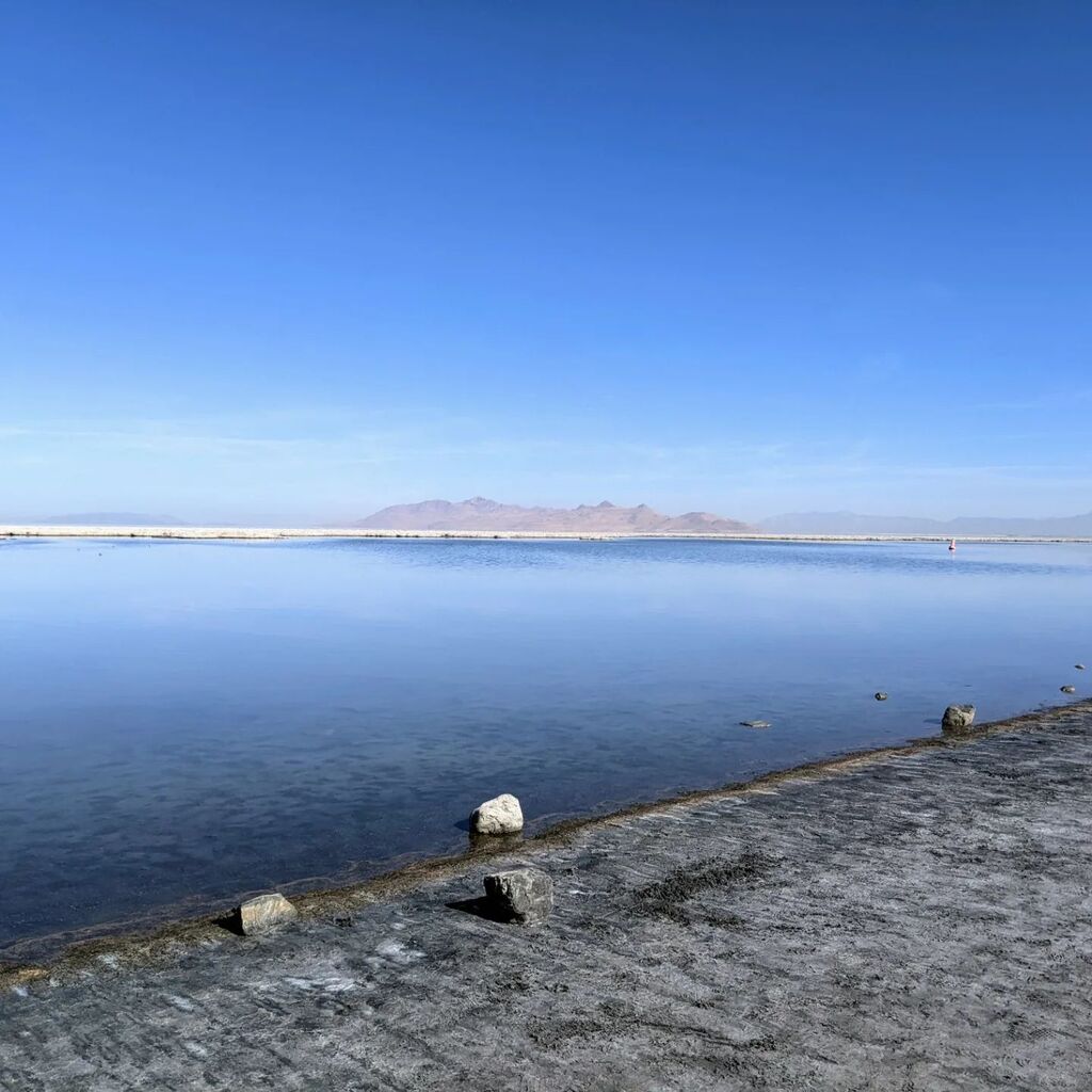 tarambrown's tweet image. Hello Utah and great Salt Lake! Can't wait for the CCBD conference tomorrow!! We gonna be slingin' us some dopamine big time! #ccbd instagr.am/p/CjYWV2yueNP/