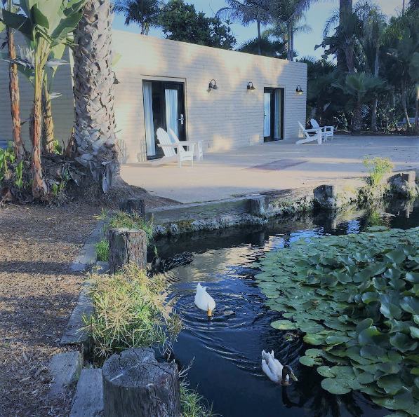 BeateChelette's tweet photo. It feels as if it were yesterday… by the way the location and landscaping of this place is fabulous and I love their pool and spa.
#throwbackthursday #wheninsandiego #itswork #growtharchitect https://t.co/KWs6uvm8el