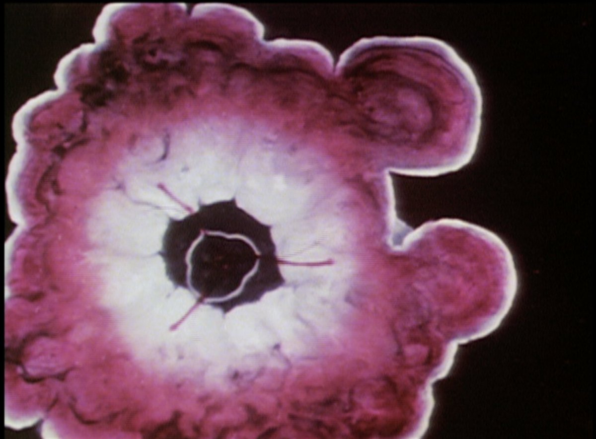 The next BEEF Presents screening ,THOUGHT IN MOTION: AN EVENING OF EXPERIMENTAL ANIMATION curated by @EdwinRostron  will be at @CUBECINEMA
 on 27'th October. See you there:
cubecinema.com/programme/even…