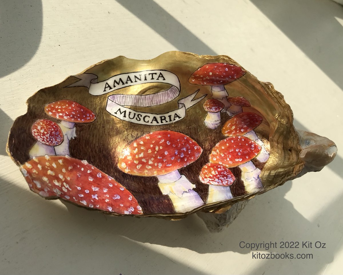 KitKitOz's tweet photo. Amanita muscaria, the fly agaric mushroom. Mushroom of fairytales and magic.
.
.
#oyster #oysters #mushrooms #mushroom #amanitamuscaria #mycology #flyagaric #autumnvibes #fall #autumn #shell #fungi #funghi #fungus #handmade #magic #handpainted #acrylic #psychedelic https://t.co/VzuqJwdBll