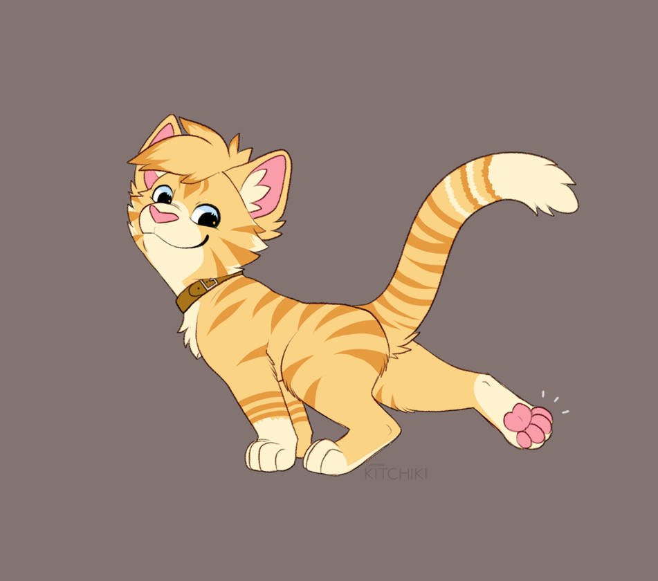 Gzi 🐱 tweet media