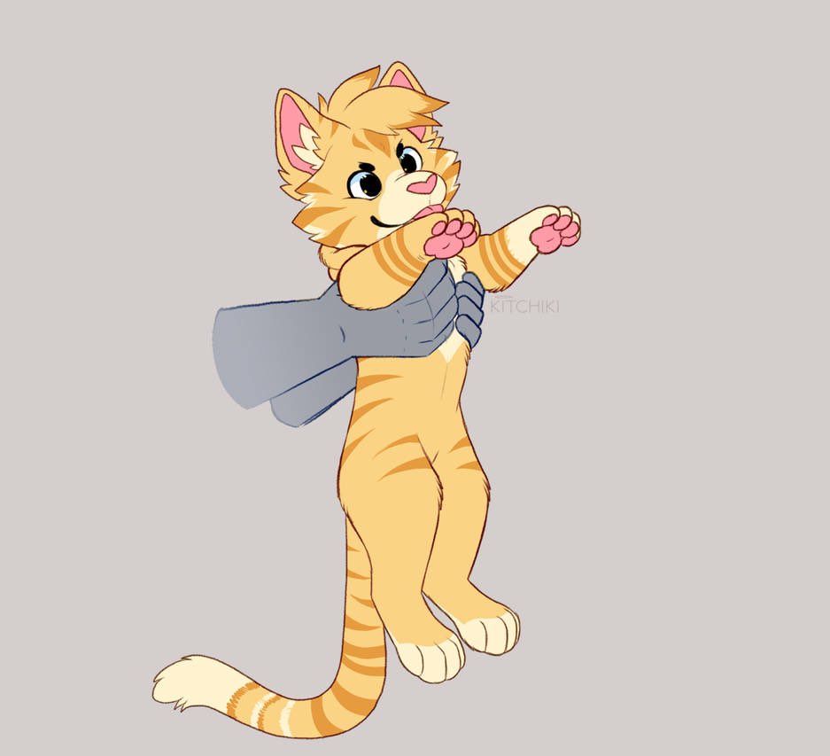 Gzi 🐱 tweet media