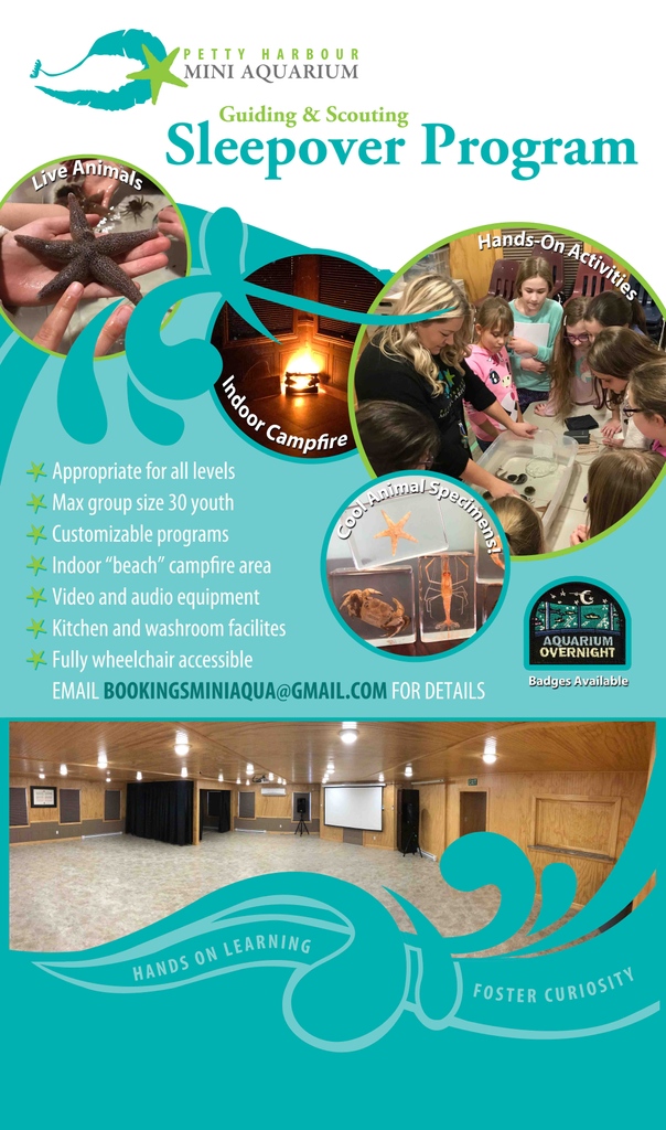 The Sleepover Program is BACK!
With newly developed, exclusive programs, this overnight experience is one you won’t want to miss! Enjoy interactive games, live animals and more. For info about programs, pricing, availability, and to book now, contact bookingsminiaqua@gmail.com