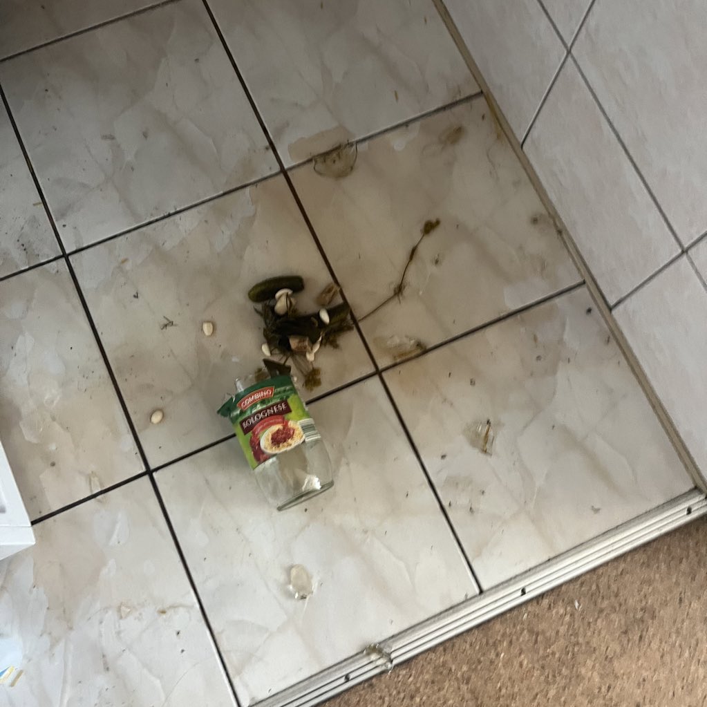maxkosheliuk's tweet photo. Zbieramy pieniądze na pomoc ogórkom… https://t.co/8z0XN1B4Dn