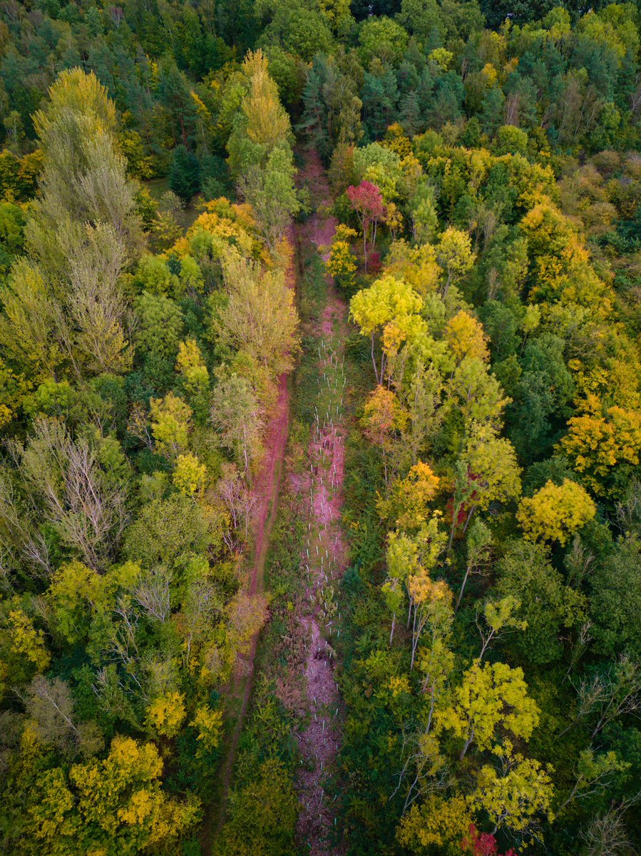 LowryDrone's tweet photo. Autumn Trees 🍂📷

#djimini3pro #autumntrees #autumn #autumnleaves #forrest #colourful #aerial #dji #dronepilot #drone #drones #WorcestershireHour #flying #aerialphotography #quadcopter #aerialphoto #autumnforest #forrests #autumncolors #autumncolours @Freewell_Gear @DJIGlobal https://t.co/uCBXOAPF2s