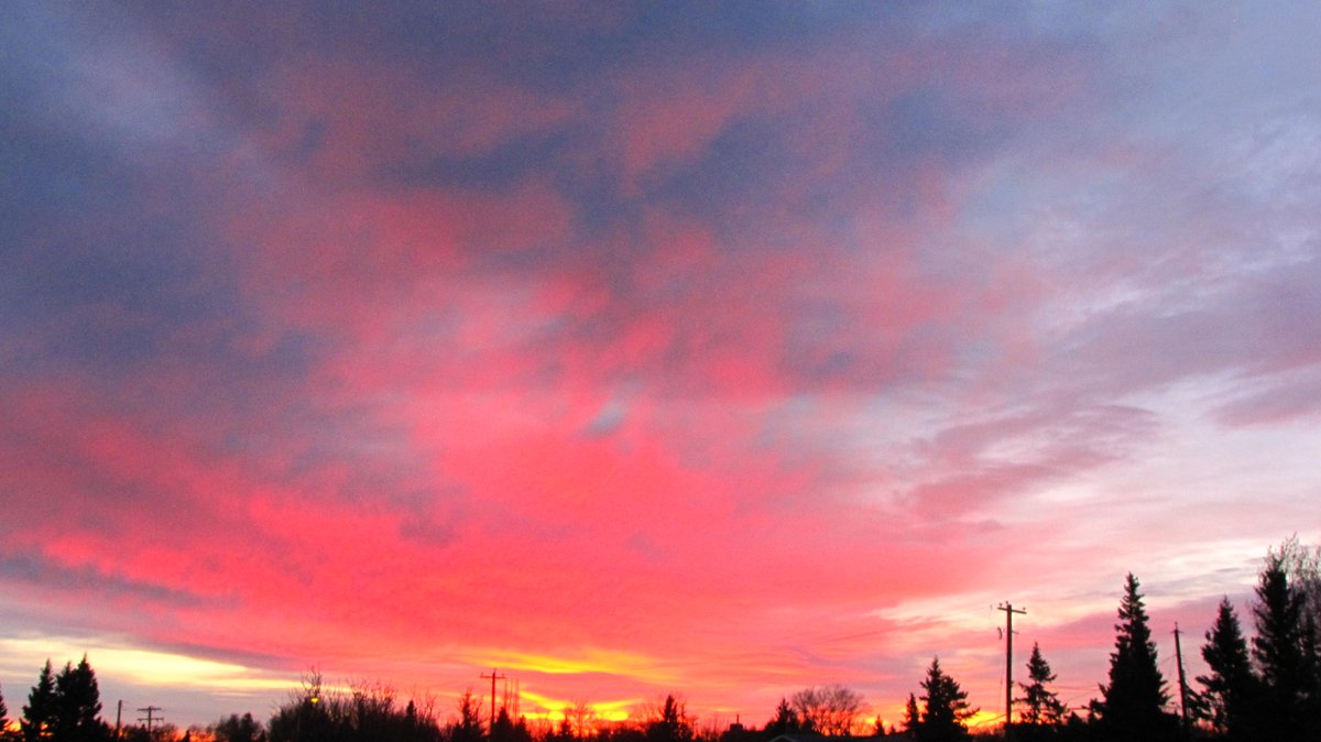 DarcoCanuck's tweet photo. #WhenTheWerewolfHowls It's usually when he see's the sunset. https://t.co/p3fGKSdL0o
