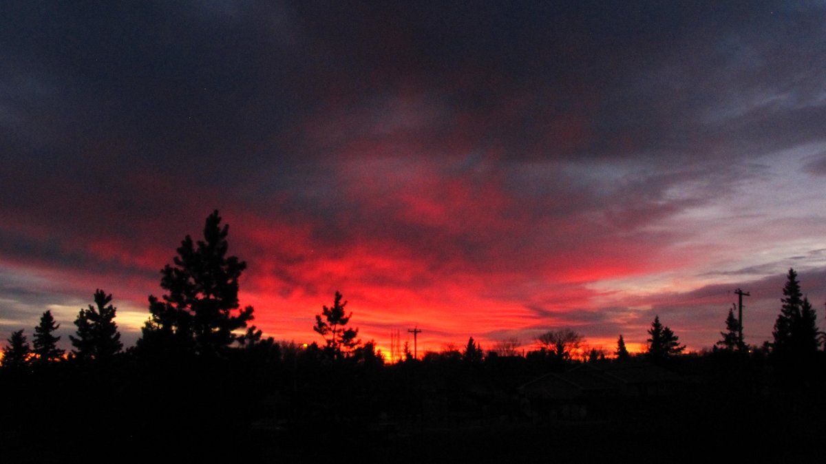 DarcoCanuck's tweet photo. #WhenTheWerewolfHowls It's usually when he see's the sunset. https://t.co/p3fGKSdL0o
