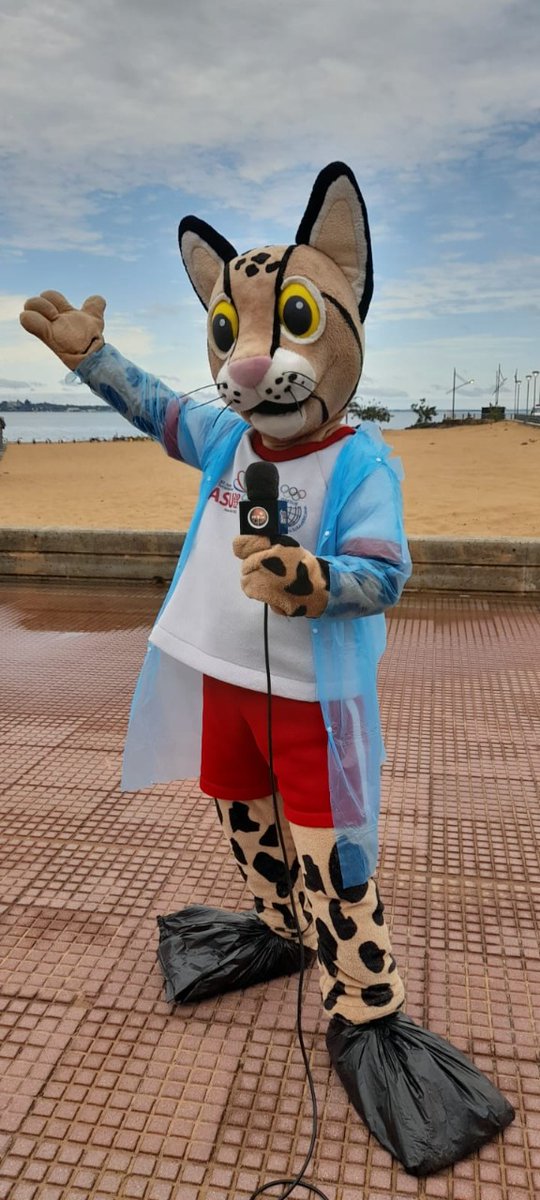 asu2022oficial's tweet photo. A Tiríka no le para la lluvia 😼

(Y también es cronista) 🎙

#TirikaLovers 
#ASU2022 
#ElSueñoDeTodos https://t.co/TNmLWoVlpz