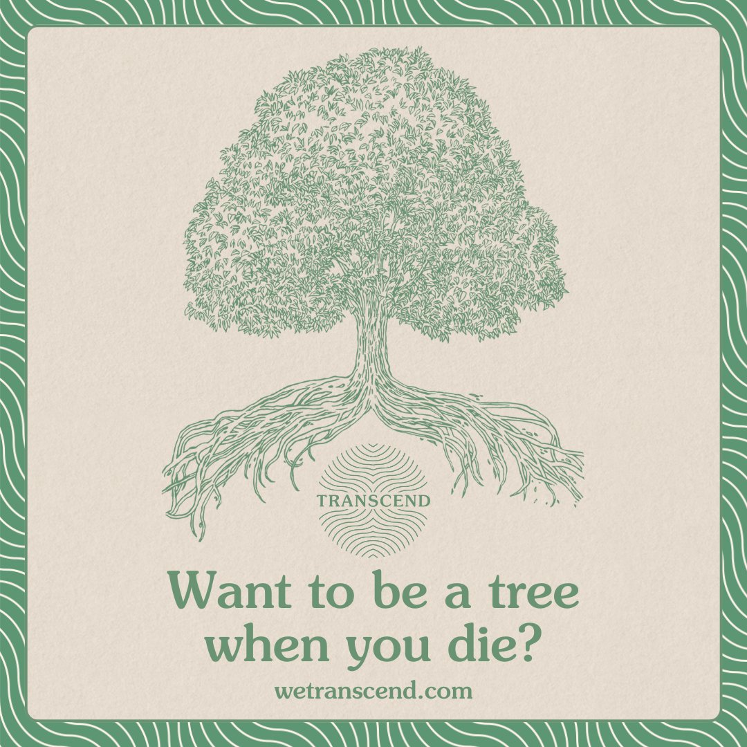 LawByLevin's tweet photo. Want to be a tree when you die? 🌳✋
@TranscendTrees is rewilding the world by literally planting people (and pets) as trees when they die.
Join the #FutureTree movement by visiting https://t.co/cvt8N3ATY6 https://t.co/QW1jjV0oS4