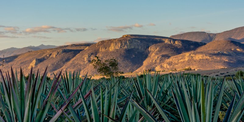 Recap - Top 5 Most-Read HBC Blog Posts for September 2022 - read on for the top posts from the Beverage, Food, Hospitality and Recipe blogs from Hamilton Beach Commercial®.
hubs.ly/Q01p5CxB0