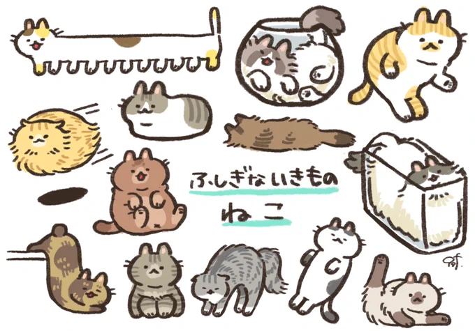 ふしぎないきもの「ねこ」 