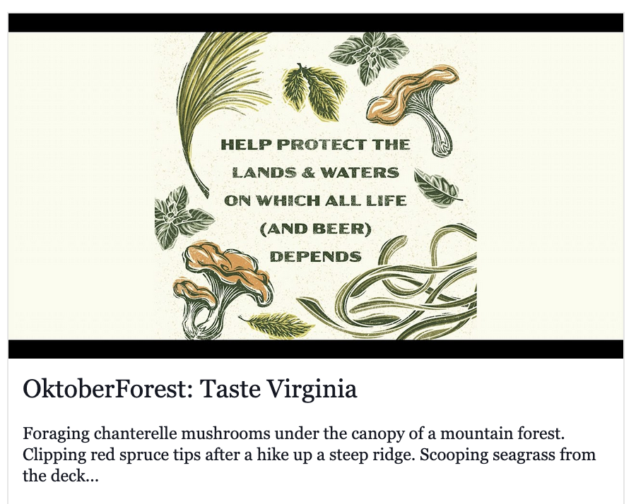 One wild local ingredient offers an expression of VA's iconic lands &amp; waters that you can literally taste. Discover how a crazy idea led to an exciting #OktoberForest collaboration. nature.ly/3Ch5Wga // <a href="/BlackNarrows/">BlackNarrows Brewing</a> <a href="/Crookedrunbrew/">Crooked Run Fermentation</a> <a href="/finecreekbrew/">Fine Creek Brewing</a> <a href="/vasenbrewing/">Väsen Brewing</a> <a href="/nature_org/">The Nature Conservancy</a>