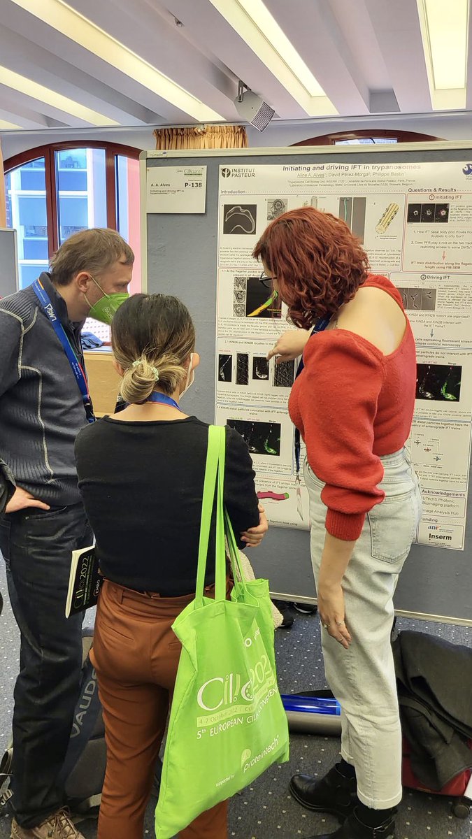 Aline_A_Alves's tweet photo. I had an amazing time at @EuroCilia2022 discussing my work on trypanosomes’ IFT!

*Special thanks to @Dykeywykey1 and @apolinovak for capturing it https://t.co/Rld896xCic