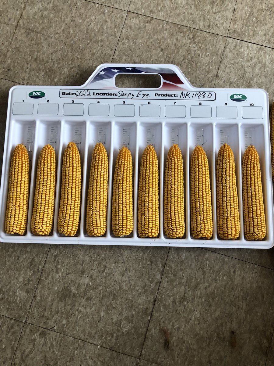 Keith Lendt tweet media