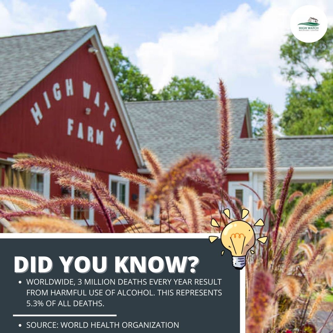 High Watch Recovery tweet media