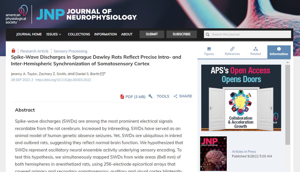 JNeurophysiol's tweet image. New research➡Spike-Wave Discharges in Sprague Dawley Rats Reflect Precise Intra- and Inter-Hemispheric Synchronization of Somatosensory Cortex by Jeremy A. Taylor, et al 

🖱ow.ly/hlyJ50L1Zba

#BarrelCortex #neuroscience #JNeurophysiol #vibrissa
