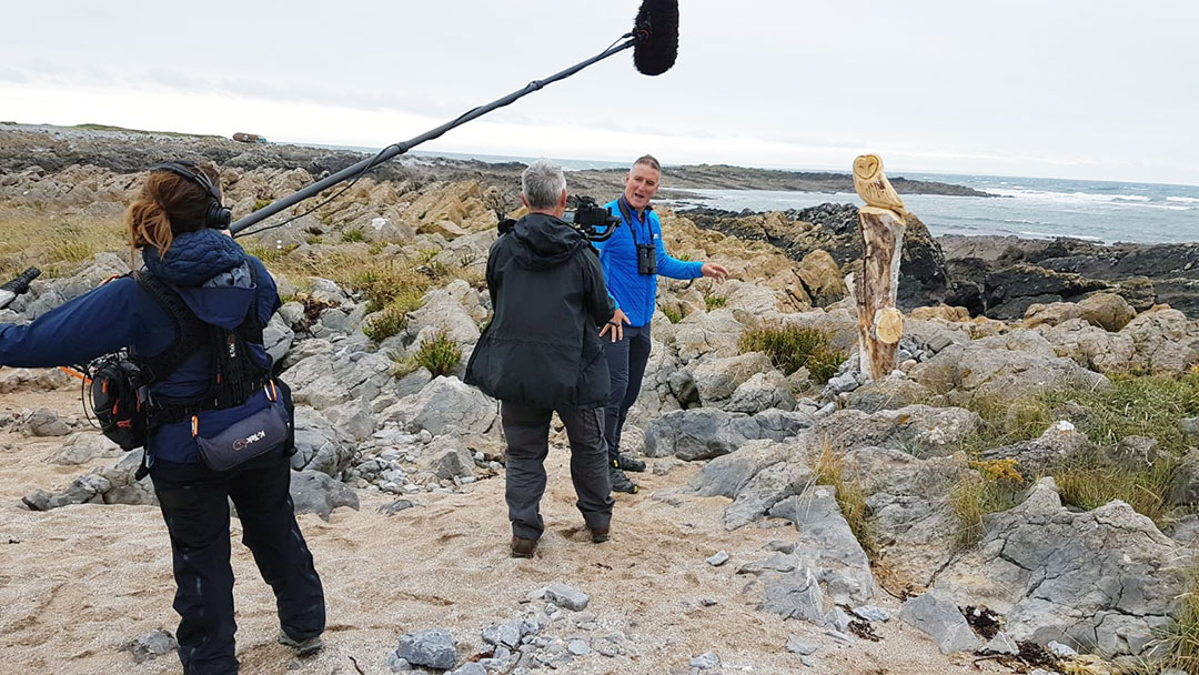 VisitSwanseaBay's tweet photo. Look who’s migrated back to Swansea Bay…Iolo Williams is filming a set of autumn nature and wildlife videos, especially for us. If you missed his Spring Safari in Swansea Bay series, you can catch up here https://t.co/b9JBngOQ0e #Iolo #IoloAwildlife https://t.co/fYQvAEbUzV