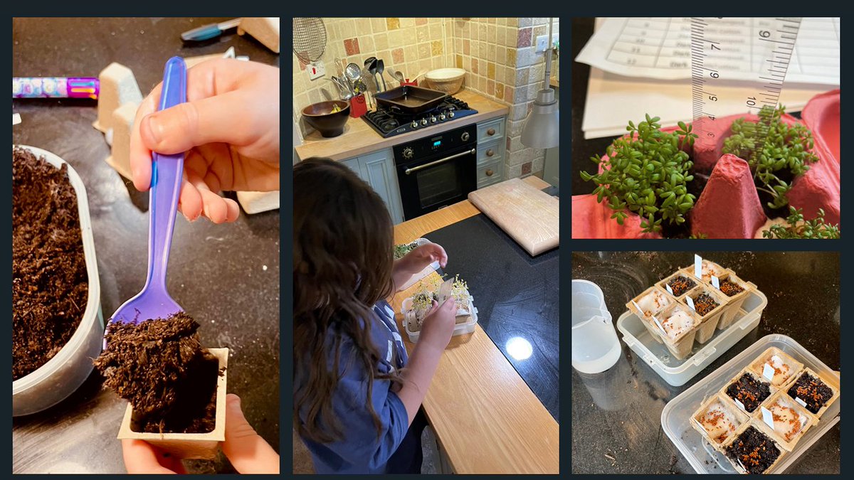 JMP_Europe's tweet image. A lot of garden cress has been grown over the summer during the Garden Cress DOE Challenge, but there can only be one winner. And that winner is 🥁🥁🥁 Weronika Wrażeń!

Read more about the experiment and other submissions here ➡️ bit.ly/3ry43Xw

#JMP #JMPDOEChallenge