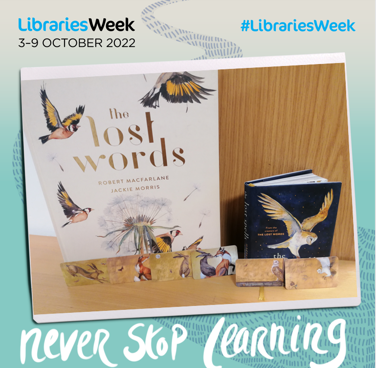 haringeylibrary's tweet photo. We are showcasing our beautiful children's library card collection - artwork by the Kate Greenaway Medal winner @JackieMorrisArt. We absolutely ❤️ them!
#mylibrarycard #miniartwork #librariesweek #loveyourlibrary https://t.co/Dc8z3pF0rH