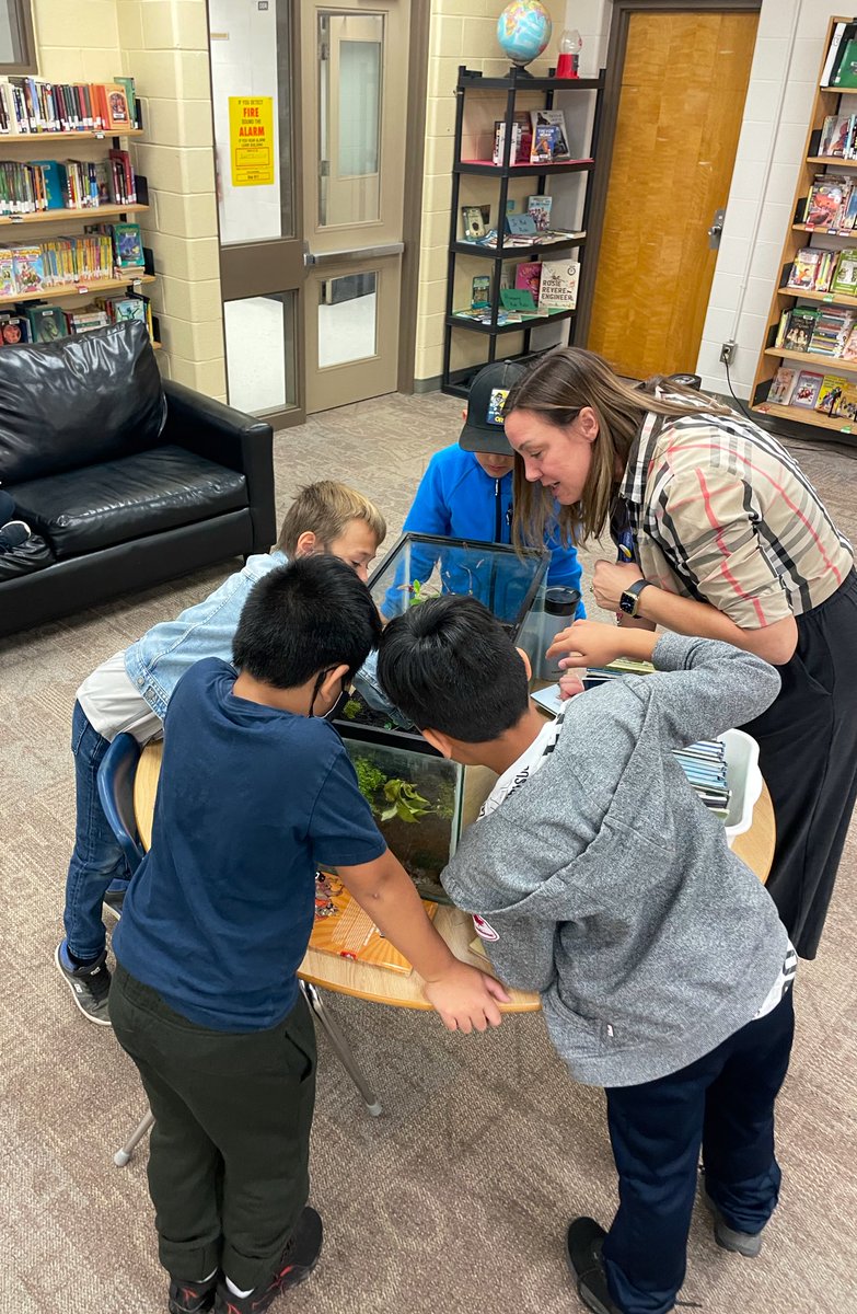 miss_hgraham's tweet photo. We LOVE coming to the library! Some choose to read, play in the maker space, or even explore our new critters. 🐌 Thank you @MsEnwright for making this space so engaging for all! @SCDSB_Schools @SteeleStreetPS #welovelibrary https://t.co/zVg2SWchT2
