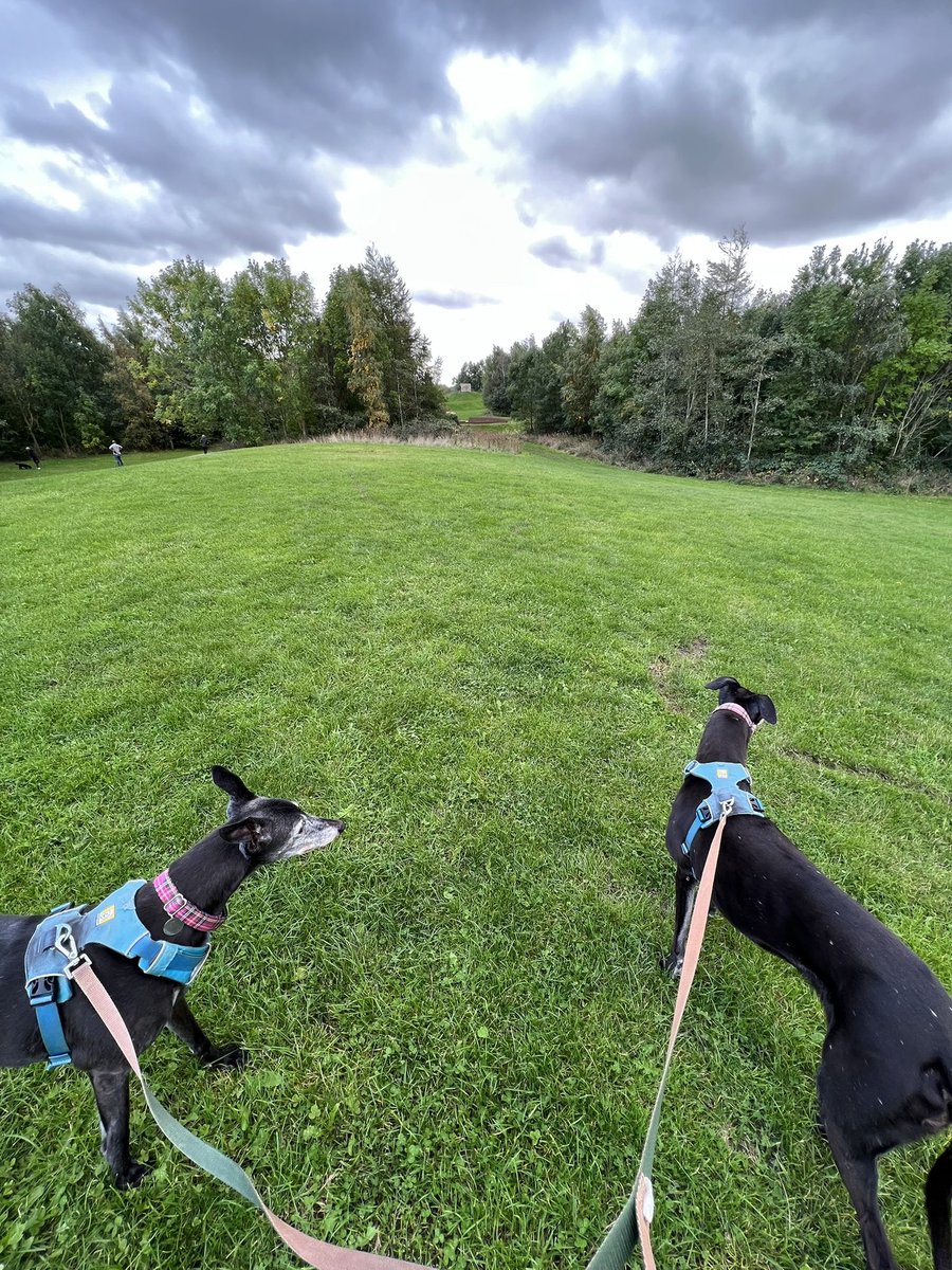 Loafnelly's tweet photo. (D) a long bimble up to the park of west is what is needed. We love moody skies https://t.co/BTmi6RlgE9