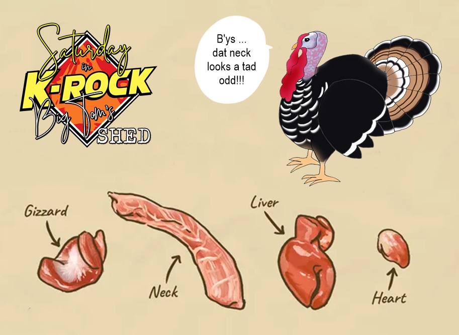 975krock's tweet photo. In our family Dad takes the neck, Mom grabs the gizzard and I chomp down on the liver. What about you crowd? - @jlac975

#ThanksGiving 
#Giblets #Turkey 
#ShedNation https://t.co/lsrMqJnNJ8