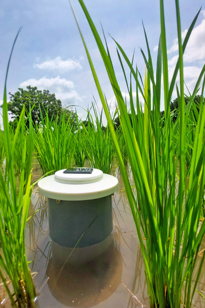 metos_austria's tweet photo. We are proud to announce that METOS® FWT (Field Water tube) has been awarded the “EIMA 2022 Technical Innovation” recognition award. 🎉A big thank you to anyone helping make it happen! #metos #eima2022 #eimaaward #metositalia #pessl https://t.co/uUkotK9m0c