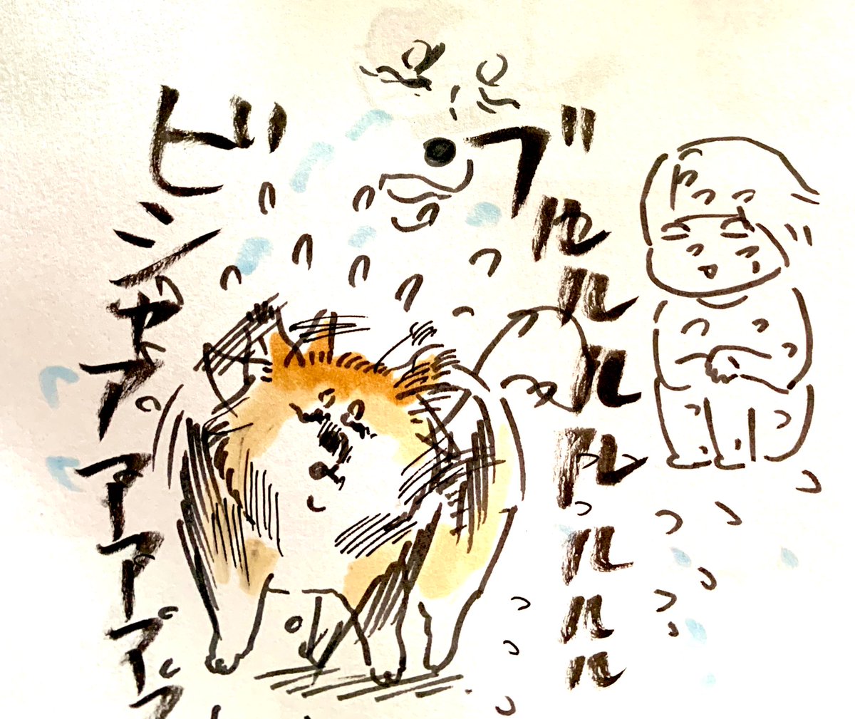 久々に全身シャンプーしたら
よりモッフモフのフッワフワになりました 