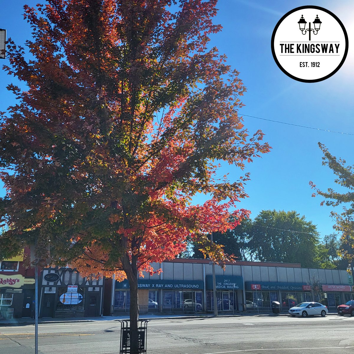 We are loving the fall colours coming in at The Kingsway BIA 🍂 🍁 🧡 

#shopthekingsway #fall #fallleaves #torontoBIA #etobicoke #bloorstreetwest #thekingswaybia #thekingsway #shoplocal