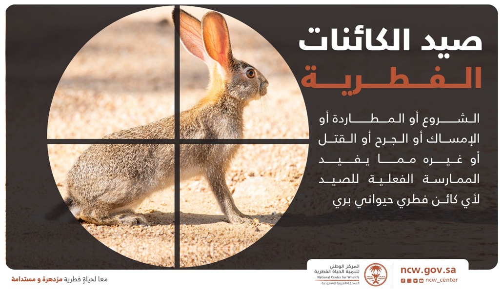 NCW_center's tweet photo. ما المقصود بصيد الكائنات الفطرية؟ 

#المركز_الوطني_لتنمية_الحياة_الفطرية
#محافظة_تنمية_استدامة https://t.co/ho14ZeBsJ0